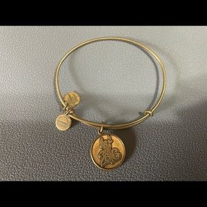 Alex and Ani Adjustable bangle, 2016 Disney charm from Magic Kingdom.
